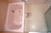 �{�H���� �o�X���t���b�V��