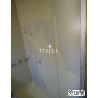 浴室化粧パネル　施工前